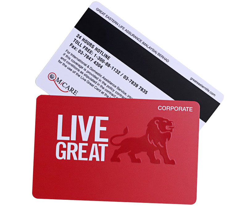 Programmable Plastic Swipe Cards Sg