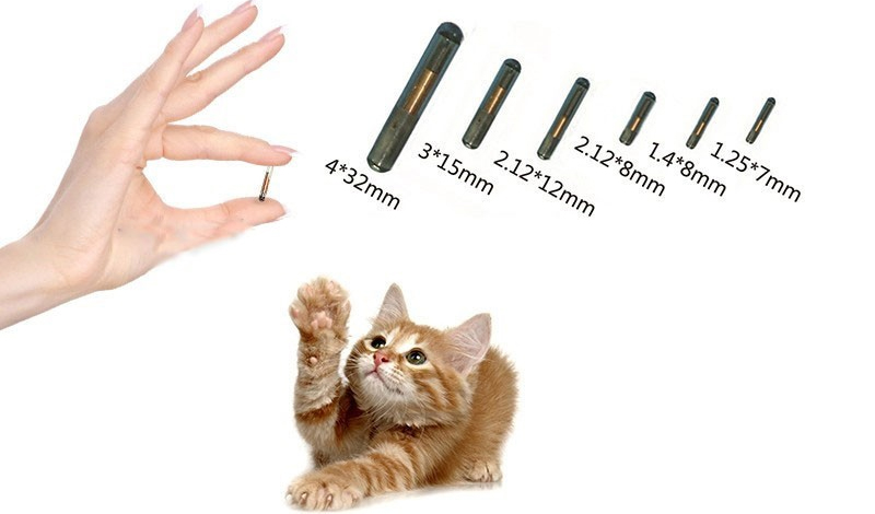 RFID Cat Chip Tags Microchip Cost