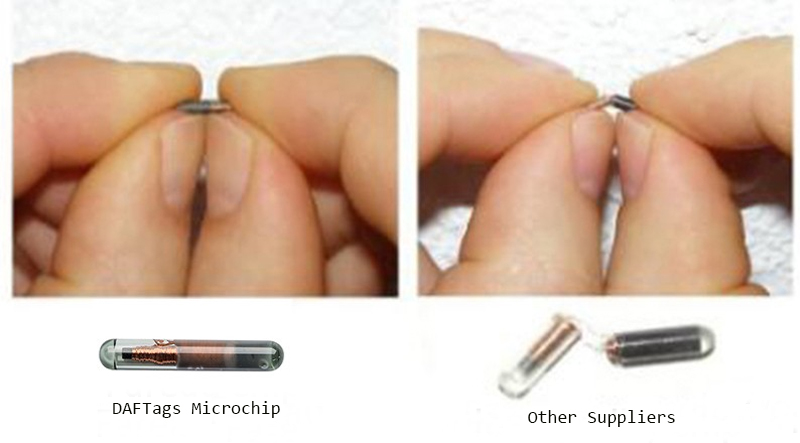 RFID Puppy Microchip Tags China Factory 