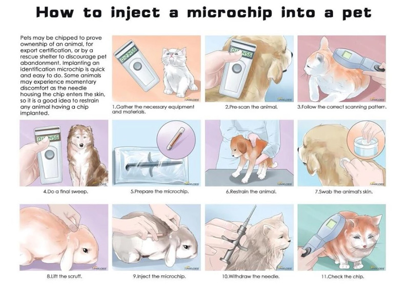 Inject RFID Microchip Tags Into Pet 