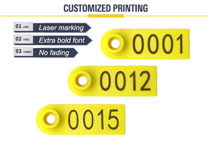 RFID Ear Tags Laser Number Making 