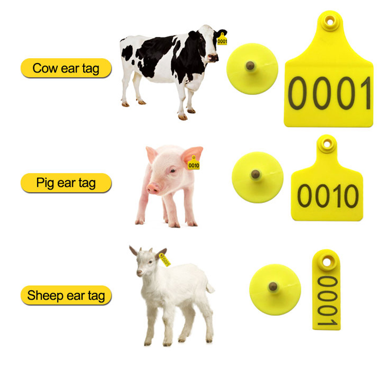 RFID Ear Tag For Cow 