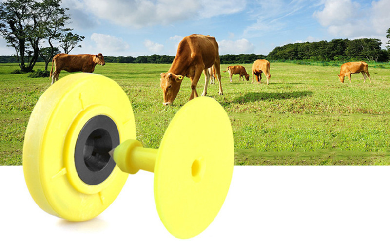 RFID Electronic Ear Tags For Cattle