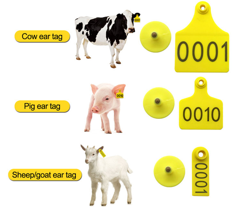 RFID Livestock Ear Tags Supplier 