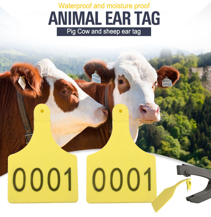 RFID Cow Ear Tags For Tracking 