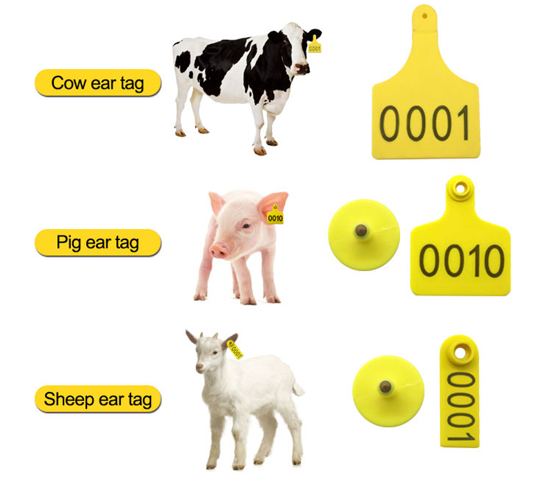 RFID Cow Ear Tags Manufacturers 