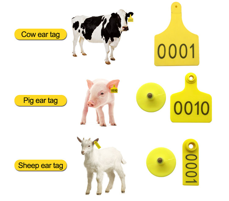 RFID Cow Ear Tags Manufacturers RFID Cow Ear Tags Manufacturers