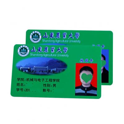 Customized Plastic School Teacher And Student Identify Photo ID Card