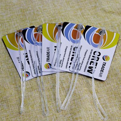Plastic PVC Secure Luggage Tag Credit Card Style With Loops