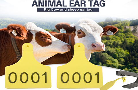 RFID Animal Ear Tags