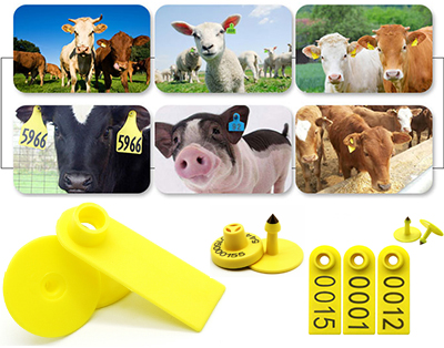 RFID Livestock Ear Tags 